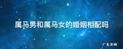 属马男跟属马女婚姻相配吗 属马男和属马女的婚姻相配吗