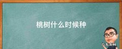 桃树什么时候种 桃树什么时候种植和收获?