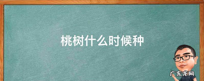 桃树什么时候种 桃树什么时候种植和收获?