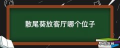 散尾葵放客厅哪个位子 散尾葵放在客厅西北角合适吗