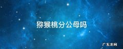 软枣猕猴桃分公母吗 猕猴桃分公母吗