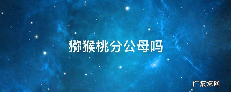 软枣猕猴桃分公母吗 猕猴桃分公母吗