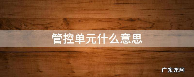 一般管控单元 管控单元什么意思