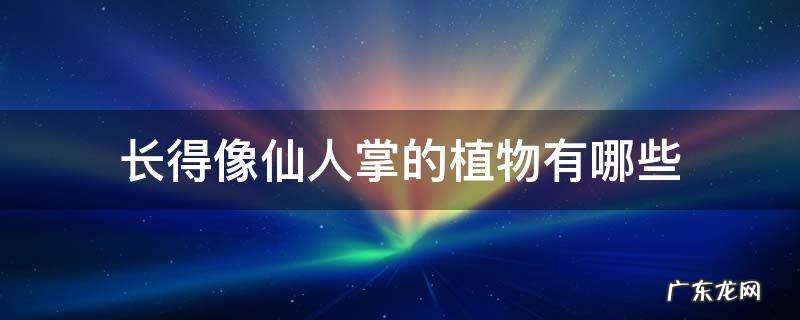 长的和仙人掌一样的植物 长得像仙人掌的植物有哪些