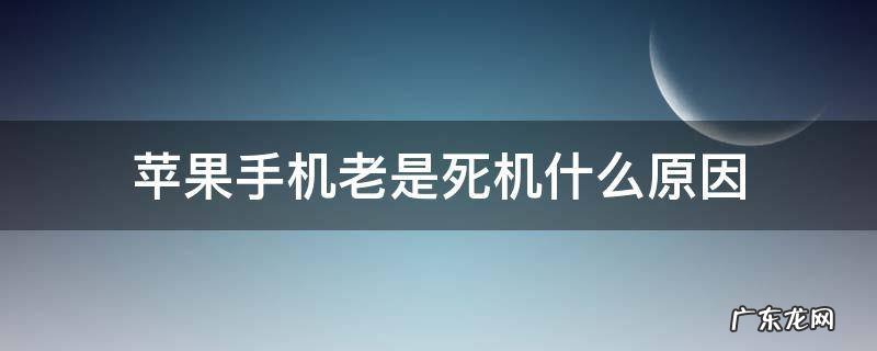 苹果手机老是死机什么原因 苹果手机最近老是死机什么原因