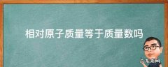 相对原子质量等于质子数吗? 相对原子质量等于质量数吗