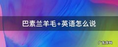 巴素兰羊毛和普通羊毛的区别 巴素兰羊毛