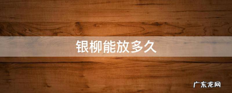 银柳能放多久 银柳可以放多久