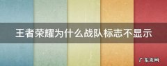 王者荣耀战队标为什么显示不出来 王者荣耀为什么战队标志不显示