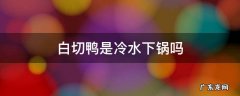 白切鸭要焯水吗 白切鸭是冷水下锅吗
