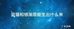 蓝猫和银渐层能生出什么来 蓝猫与银渐层能生出哪些猫