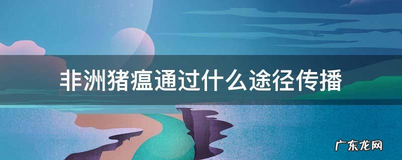 非洲猪瘟疫传播途径 非洲猪瘟通过什么途径传播