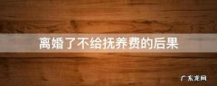 离婚了不给抚养费的后果 离婚之后不给抚养费怎么办