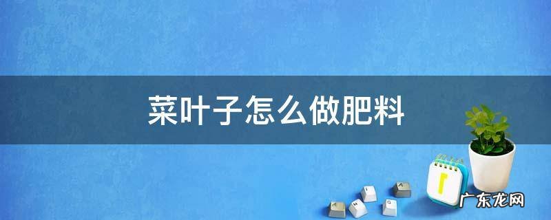 菜叶子怎么做肥料 菜叶子能做肥料吗