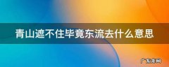 青山遮不住毕竟东流去什么意思 青山遮不住毕竟东流去出自哪首诗