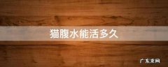 猫腹水能活多久 猫咪腹水能活多长时间