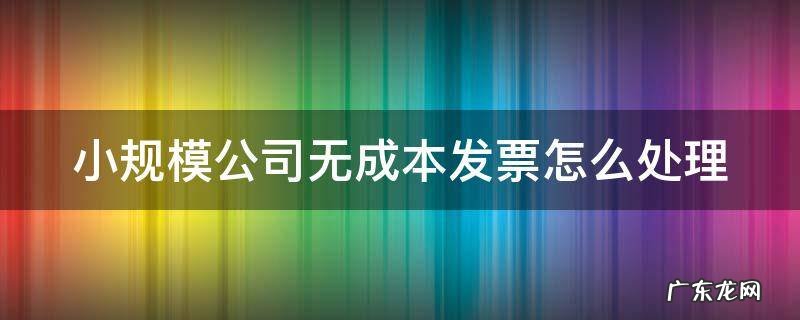 小规模公司无成本发票怎么处理 小规模公司无成本发票怎么处理的