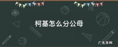 柯基怎么分公母图片 柯基怎么分公母