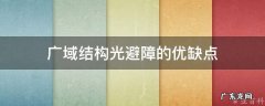 什么是广域网,有哪些特点? 广域结构光避障的优缺点
