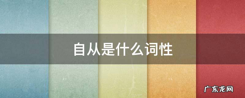 自从是什么词性 自从是词语吗