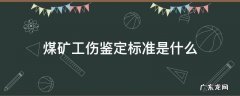 煤矿工伤鉴定标准是什么 煤矿伤残等级鉴定标准