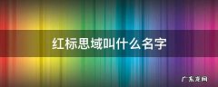 红标思域全称 红标思域叫什么名字