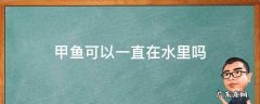甲鱼可以一直在水里吗 甲鱼可以一直在水里面吗