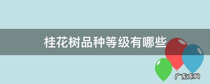 桂花树品种等级有哪些 桂花树品种怎么分类