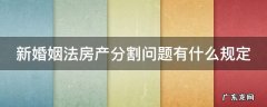新婚姻法关于房产分割的法律条文 新婚姻法房产分割问题有什么规定
