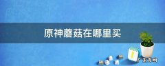 原神蘑菇怎么买 原神蘑菇在哪里买