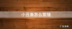 小丑鱼怎么繁殖 小丑鱼怎么繁殖,养殖需多少时间?