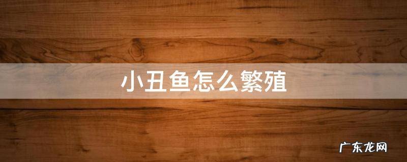 小丑鱼怎么繁殖 小丑鱼怎么繁殖,养殖需多少时间?