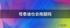 母泰迪也会抱腿吗 母泰迪会不会抱腿