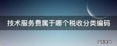 技术服务费属于哪个税收分类编码 技术服务费属于哪个税目