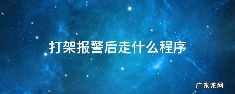 打架报警后走什么程序 打架报警流程是什么