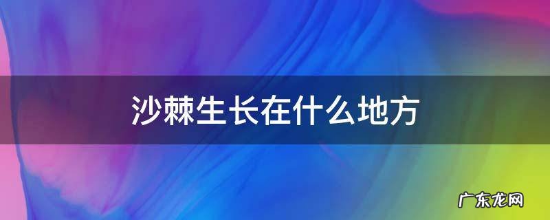沙棘果生长在什么地方 沙棘生长在什么地方
