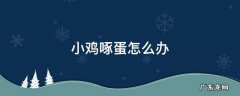 小鸡啄蛋怎么办 蛋鸡啄蛋怎么办