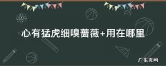 心有猛虎细嗅蔷薇 心有猛虎细嗅蔷薇的意思是什么呀