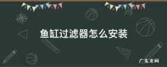 鱼缸过滤器怎么安装 小型鱼缸过滤器怎么安装
