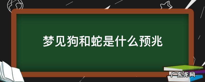 梦见狗和蛇是什么预兆 孕妇梦见狗和蛇是什么预兆