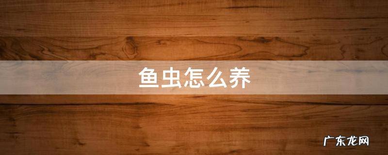 鱼虫怎么养 鱼虫怎么养活