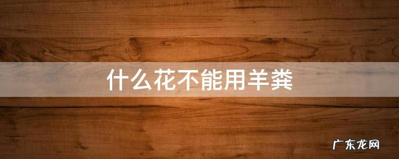 什么花不能用羊粪蛋 什么花不能用羊粪