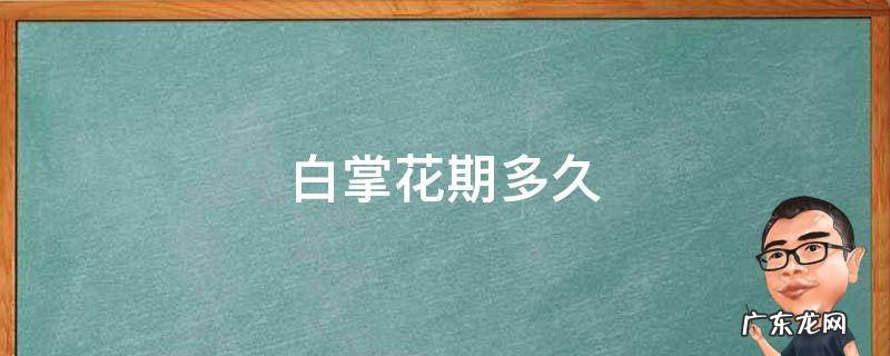 白掌花期多长一年开几次花 白掌花期多久