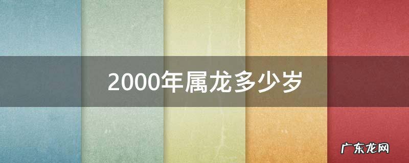 2000年出生的今年几岁属龙 2000年属龙多少岁