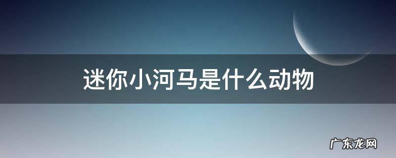 迷你小河马是什么动物 迷你小河马是什么动物,有鼠疫吗