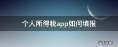 个人所得税app如何填报? 个人所得税app如何填报