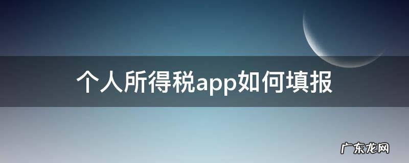 个人所得税app如何填报? 个人所得税app如何填报