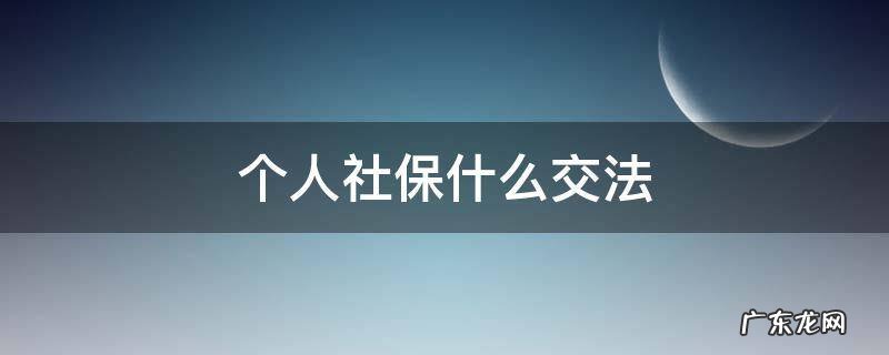 个人社保什么交法 个人社保有几种交法