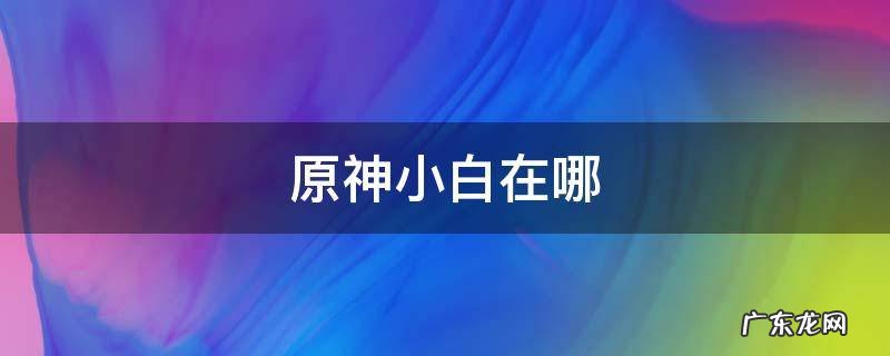 原神小白在哪 原神小白npc