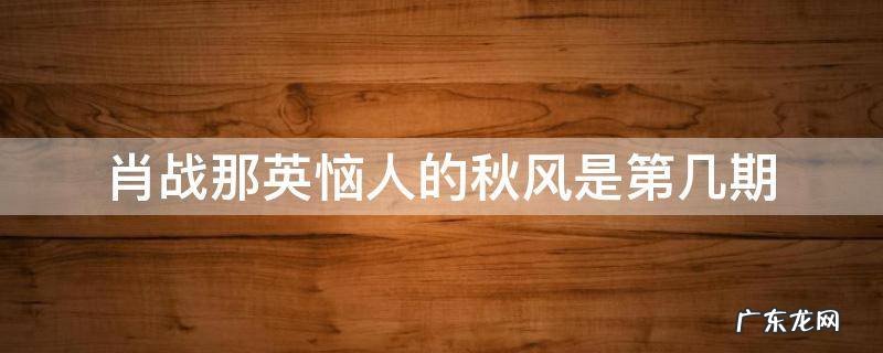 肖战那英恼人的秋风是第几期 肖战那英恼人的秋风是哪一期